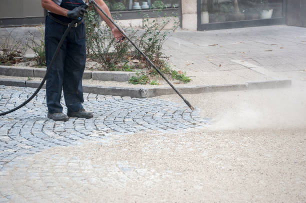 Best Window and Screen Pressure Cleaning in Conashaugh Lakes, PA